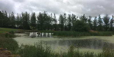 Club image Mountain View Golf Course