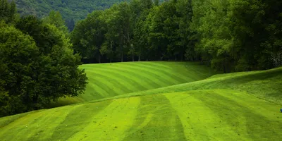 Club image Real Golf Club de San Sebastián