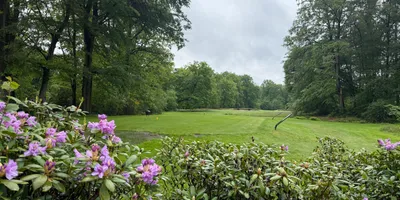 Club image Golfclub Driene