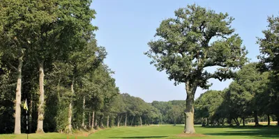 Club image Ladbrook Park Golf Club