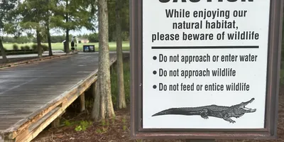 Club image Shingle Creek Golf Club