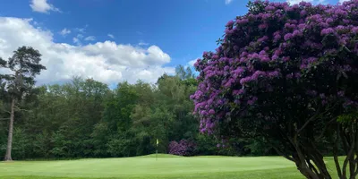 Club image Copthorne Golf Club