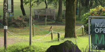 Club image Geijsteren Golf & Country Club