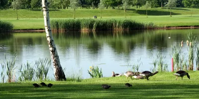 Club image Golfbaan De Golfhorst