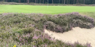Club image Hankley Common Golf Club