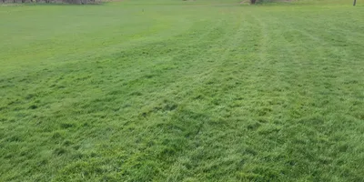 Club image Merrist Wood Golf Club
