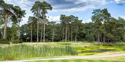 Club image Woking Golf Club