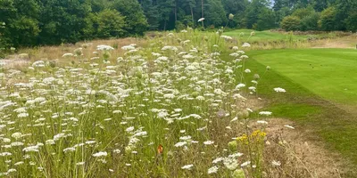 Club image De Lochemse Golfclub