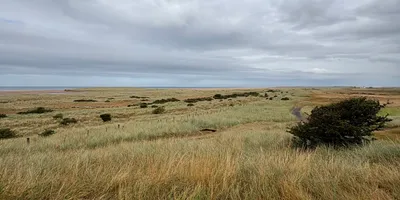 Club image Goswick Links