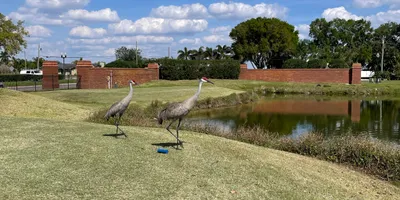 Club image Remington Golf & Country Club