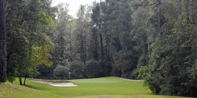 Club image The Witch Golf Links