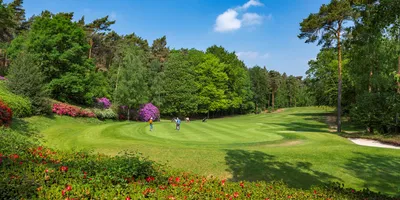 Club image de Herkenbosche