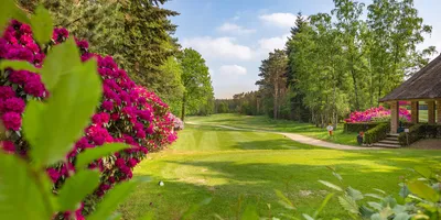 Club image de Herkenbosche