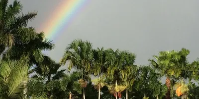 Club image Palmetto Golf Course