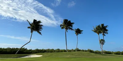 Club image Blue Tip