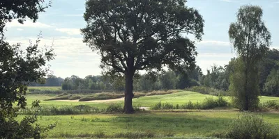 Club image Weleveld Golf