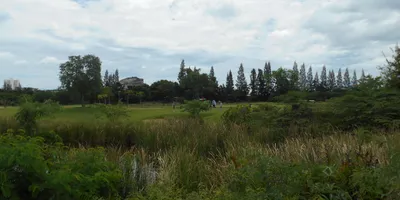 Club image Seapine Golf Course