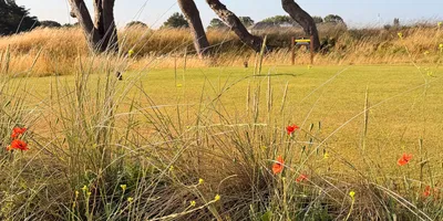 Club image Southport & Ainsdale Golf Club