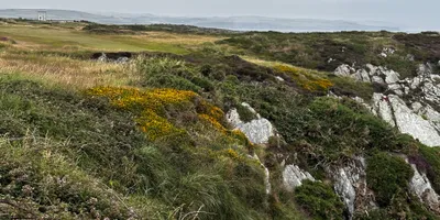 Club image Castletown Golf Links