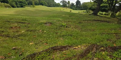 Club image Gunung Geulis Golf & Country Club