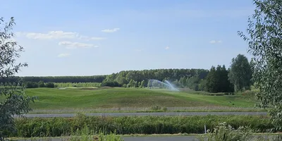 Club image De Kroonprins Vianen