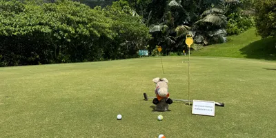 Club image Templer Park Country Club