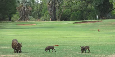 Club image Elephant Hills Resort