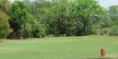 Club image Elephant Hills Resort