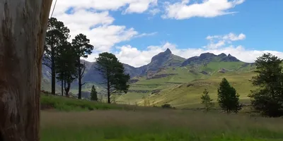 Club image Gooderson Drakensberg Gardens Golf and Spa Resort