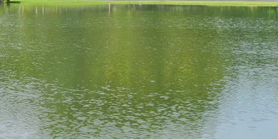 Club image Buenaventura Panama Golf Resort
