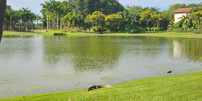 Club image Buenaventura Panama Golf Resort
