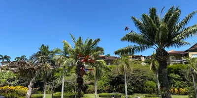 Club image Los Suenos Marriott Ocean & Golf Resort