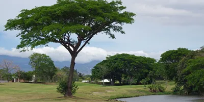 Club image Parque Valle del Sol