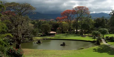 Club image Cariari Country Club