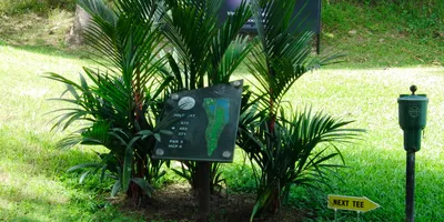 Club image Los Delfines Golf & Country Club