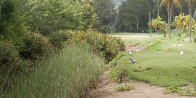 Club image The Seychelles Golf Club