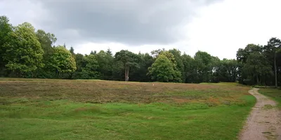 Club image Liphook Golf Club