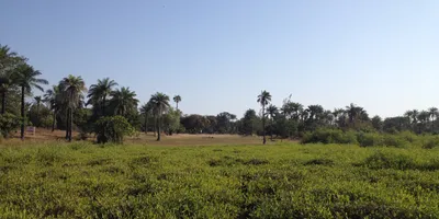 Club image Fajara Golf Club