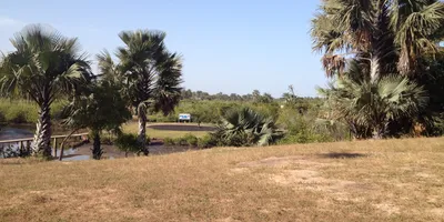 Club image Fajara Golf Club