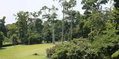 Club image Kribi Golf & Country Club