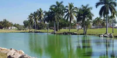 Club image El Cid Resort & Country Club