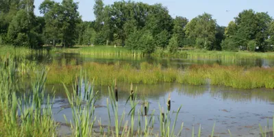 Club image Golfclub Riel