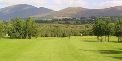Club image Carrigleade Golf Course