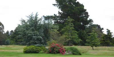 Club image Russley Golf Club