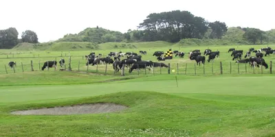 Club image Otaki Golf Club