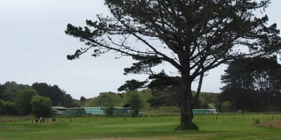 Club image Otaki Golf Club
