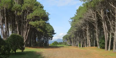 Club image The Dunes Matarangi Golf Club