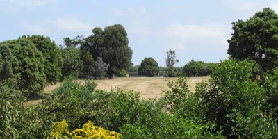 Club image Manaia Golf Club