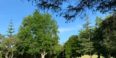 Club image Redwood Park Golf Club