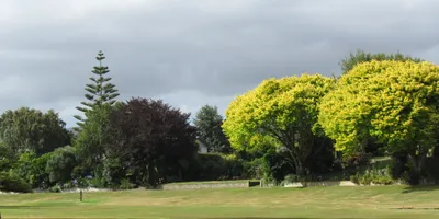 Club image Palmerston North Golf Club